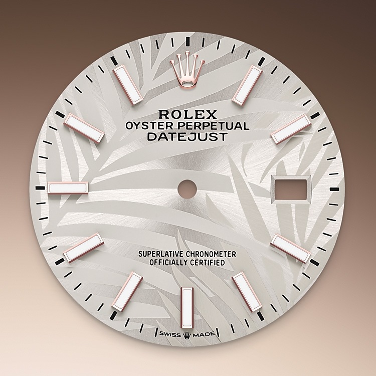 silver_dial-everose_rolesor-m126201-0031.png Rolex m126201-0031 Dial