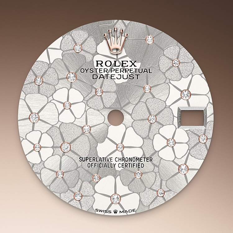 silver_dial-everose_rolesor-m278381rbr-0032.png Rolex m278381rbr-0032 Dial