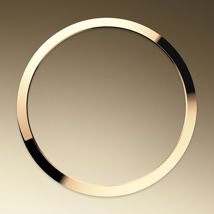 smooth_bezel-yellow_rolesor-m124273-0001.png Rolex m124273-0001 Bezel