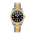 2021 Rolex Explorer 36 (124273)